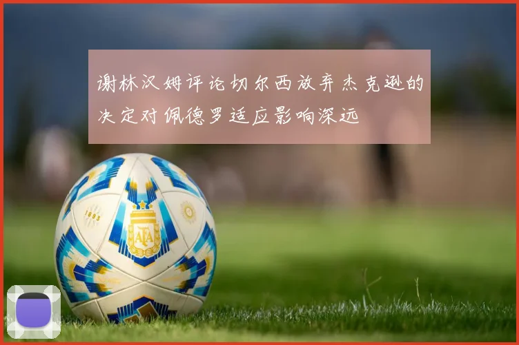 谢林汉姆评论切尔西放弃杰克逊的决定对佩德罗适应影响深远