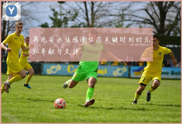 再见安永佳感谢你在关键时刻的无私奉献与支持